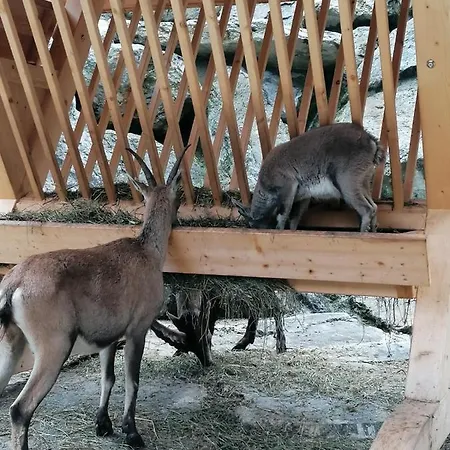 Ronalds Appartements St. Leonhard im Pitztal Zewnętrze zdjęcie