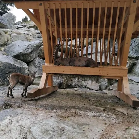 Ronalds Appartements St. Leonhard im Pitztal Zewnętrze zdjęcie