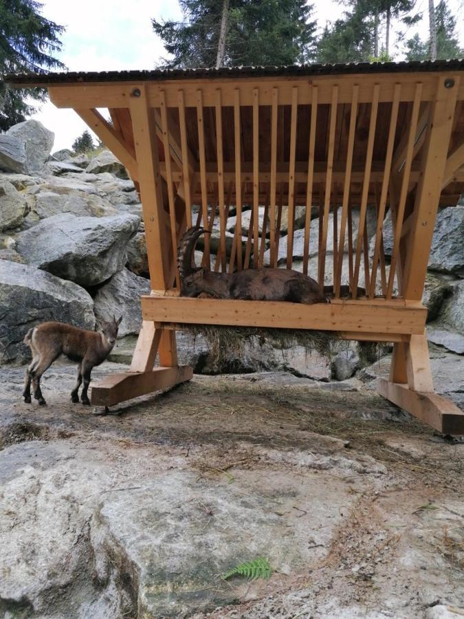 Ronalds Sankt Leonhard im Pitztal